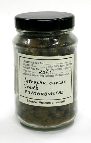 Sample of dark coloured seeds in labelled jar.