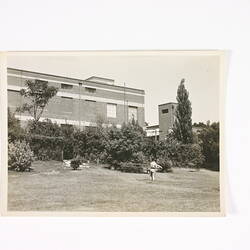 Photograph - 'Glass Plate Building', Kodak Factory, Abbotsford, 1940s