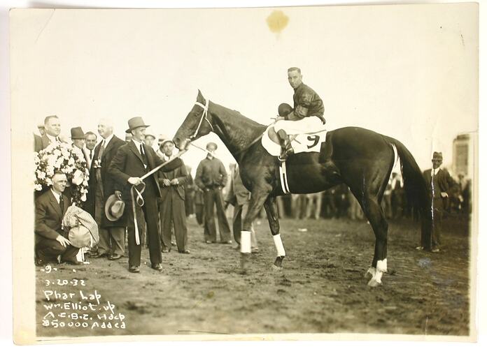 Photograph - Phar Lap, Billy Elliot and Tommy Woodcock, Agua Caliente, 1932