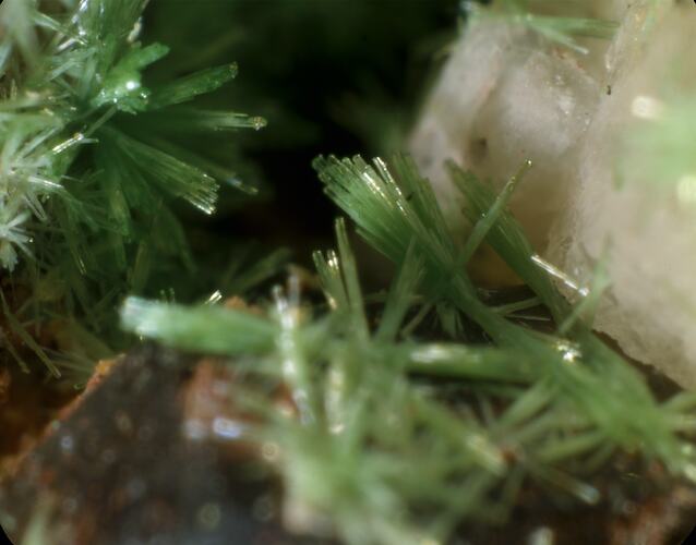 Green needle-like crystals against white blocky crystal.