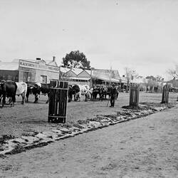 Negative - Bullock Team in Front of Shops, Charlton, Victoria, Sep 1900