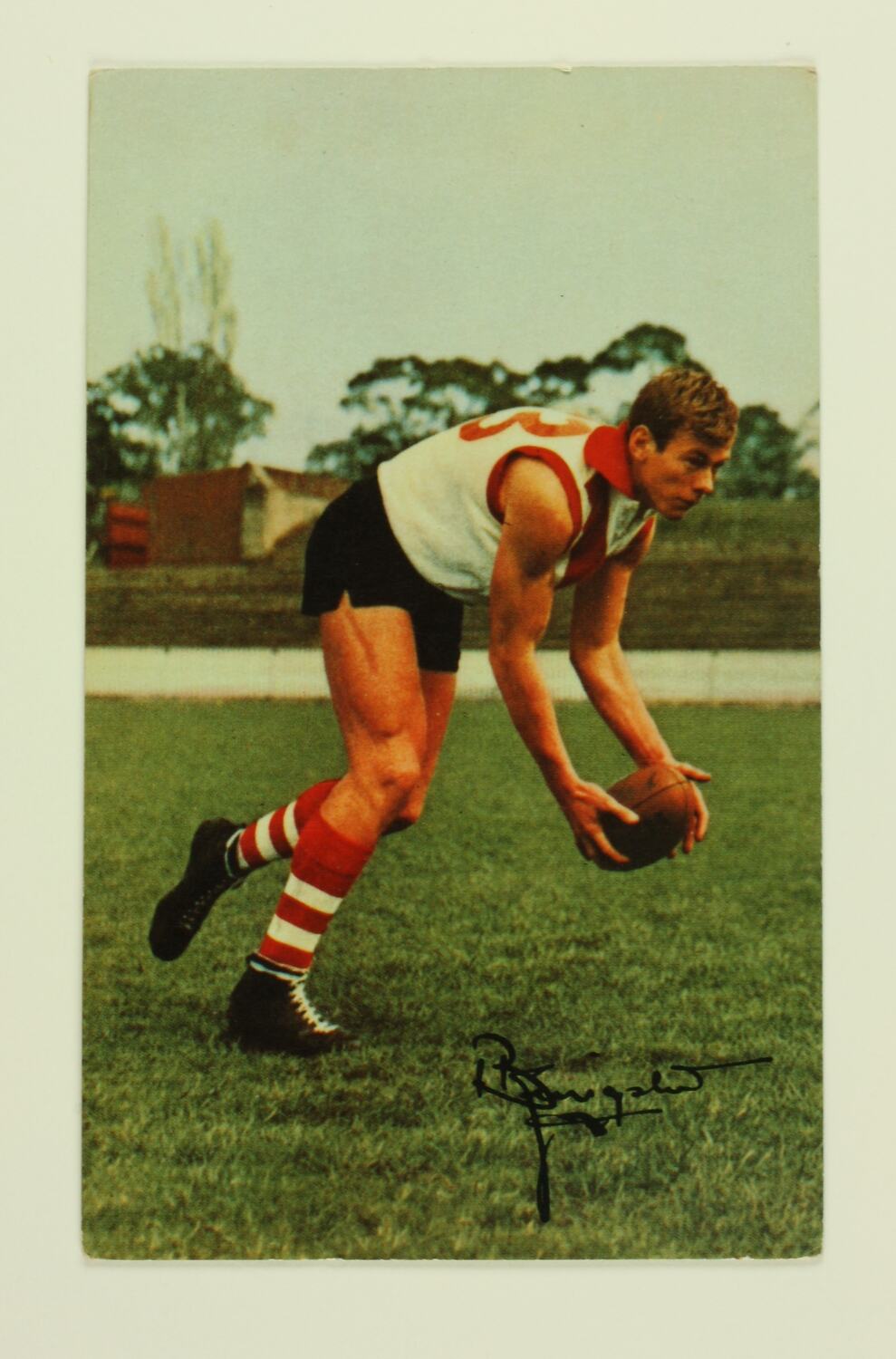 Vintage Press Photo Australia, Kangaroo Playing a Football, 1965