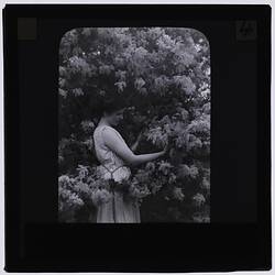 Black and white photograph of a girl in white dress next to a wattle tree.
