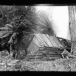 Glass Negative - Hut in Forest, by A.J. Campbell, Dandenong Ranges, Victoria, circa 1900
