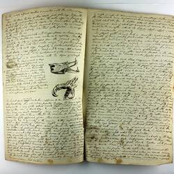 Old handwritten manuscript regarding owls