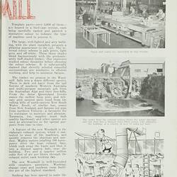 Magazine - Sunshine Review, No 18, Nov 1952