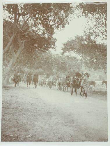 Horse drawn carts and men on horseback walking along tree lined dirt road.