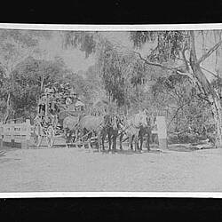 Photograph - Horse Drawn Coach