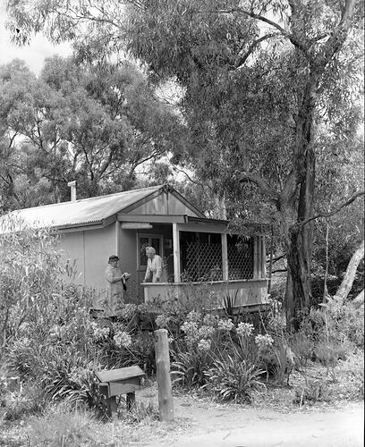 House Surrounded by Bushland, Victoria, 1957