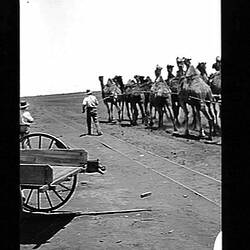 Negative - Camel Train & Train Tracks, by Hugh Conran, Australia, 1913