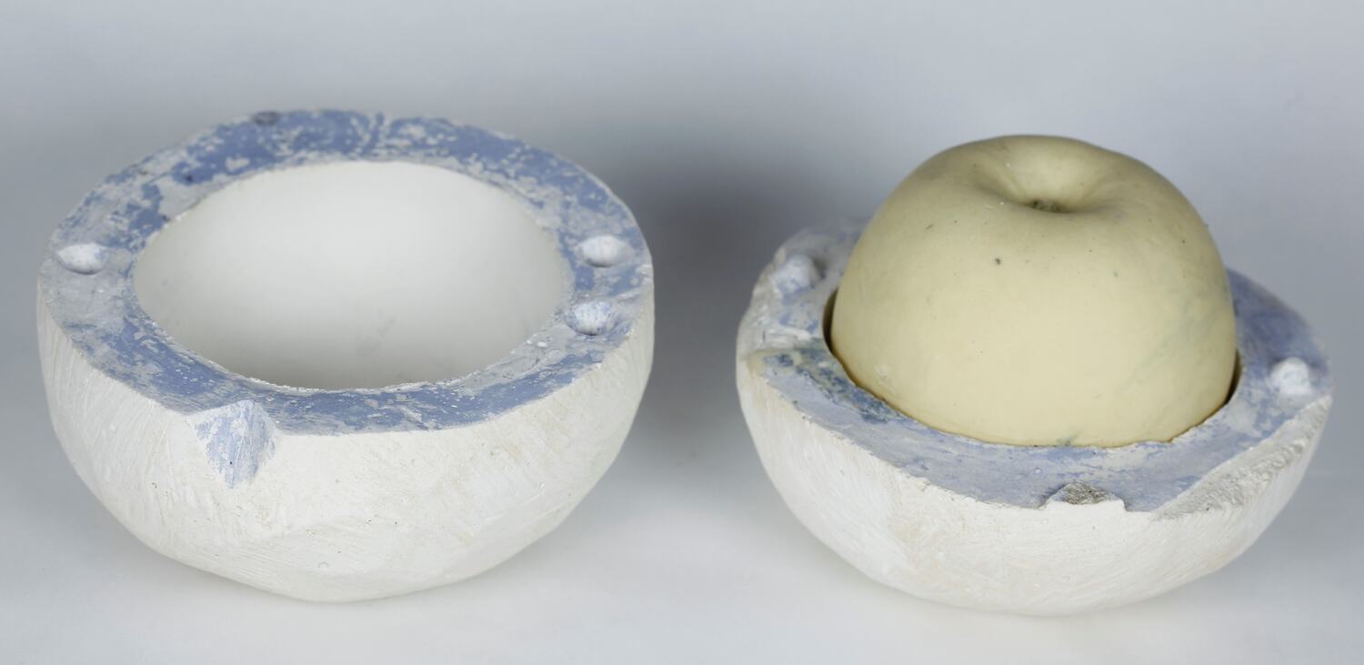 Mould & Wax Model Apple