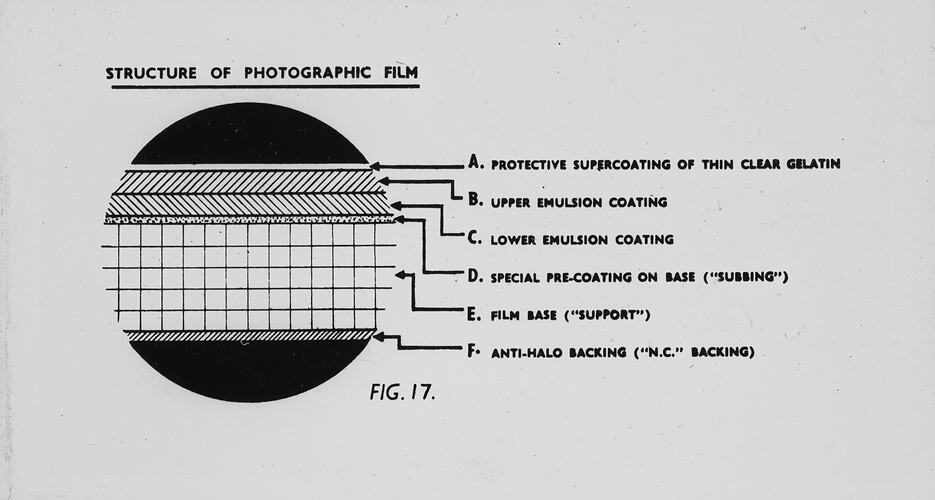 Diagram of Structure of Photographic Film, History of Photography & Emulsion Making, circa 1950s