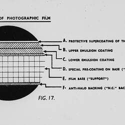 Diagram of Structure of Photographic Film, History of Photography & Emulsion Making, circa 1950s