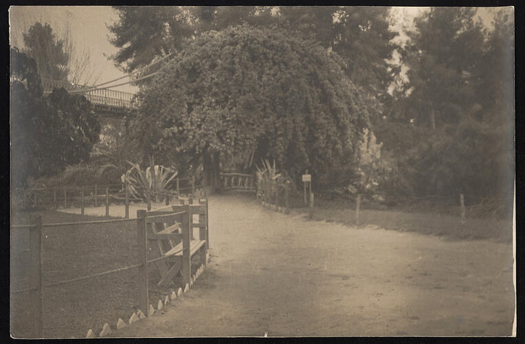 Monochrome photograph of a pathway.