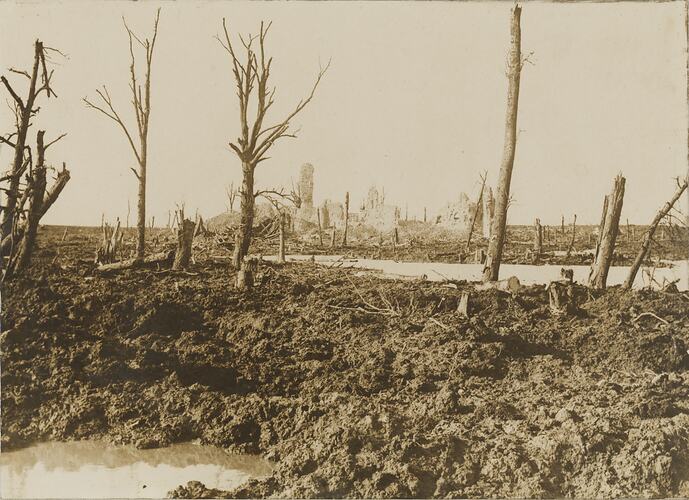 Battlefield with mud, dead trees and ruined town.