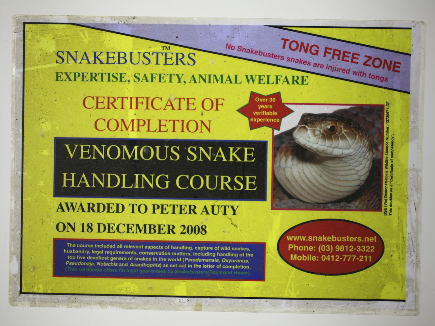 Certificate 'Snakebusters Venomous Snake Handling', Peter Auty