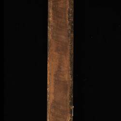 Timber Sample - Elderberry Panax, Polyscias sambucifolius, Victoria, 1885