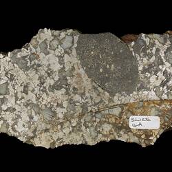 Bencubbin Meteorite. [E 18899]