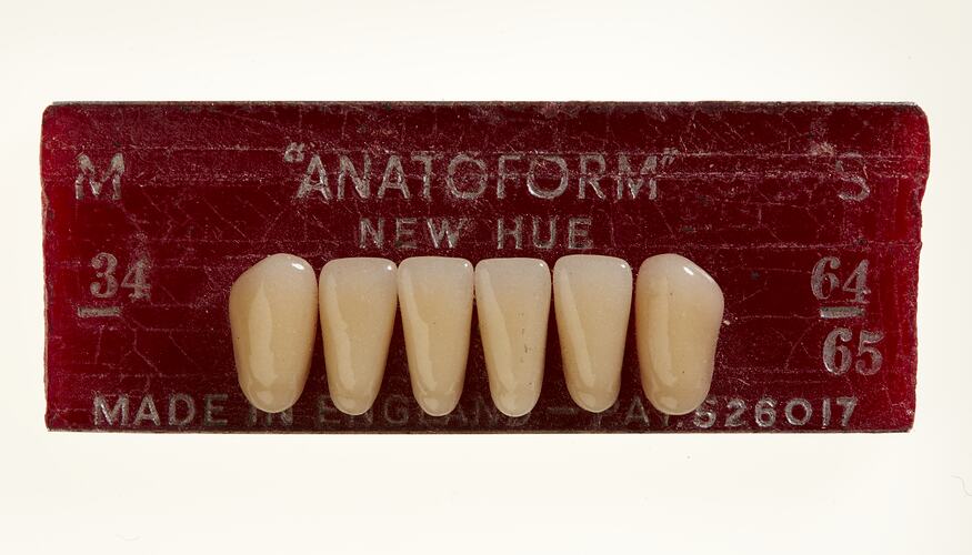 Row of six off white teeth on maroon card with text.