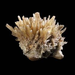 Cluster of flat, straight, creamy crystals.