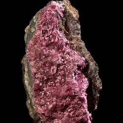 Pink crystals on dark rock.