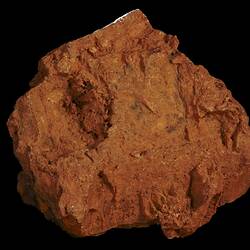 Mount Egerton Meteorite. [E 12916]