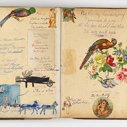 Open scrapbook showing 2 pages of inscriptions and illustrations, mostly birds and floral motifs.