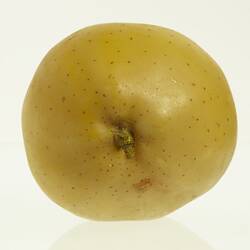 Yellow apple with brown spots model. Base view.