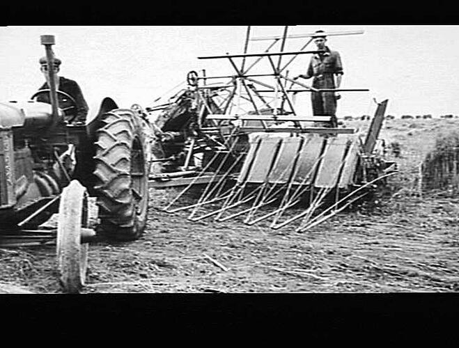 MACHINES AT WORK IN ENGLAND: A POWER TAKE OFF `HARRISON MCGREGOR' BINDER FITTED WITH A FLAX PULLING DEVICE COMPRISING A SERIES OF ROTATING BELTS ON EACH SIDE OF THE SLOTS, AS SHOWN ON THE FRONT OF THE MACHINE. MANY OF THESE MACHINES WERE AT WORK THIS YEAR