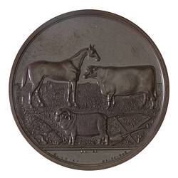 Medal - Wimmera District Pastoral & Agricultural Society Bronze Prize, Wimmera & District Pastoral & Agricultural Society, Australia, circa 1875