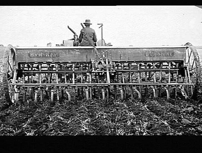 MR. J. THOMAS AITKEN, MIMOSA ROAD NEAR TEMORA. CULTIVATED AND SEEDED, ETC, THIS SEASON 800 ACRES. CULTIVATED ONLY AN ADDITIONAL 500 ACRES: 1922