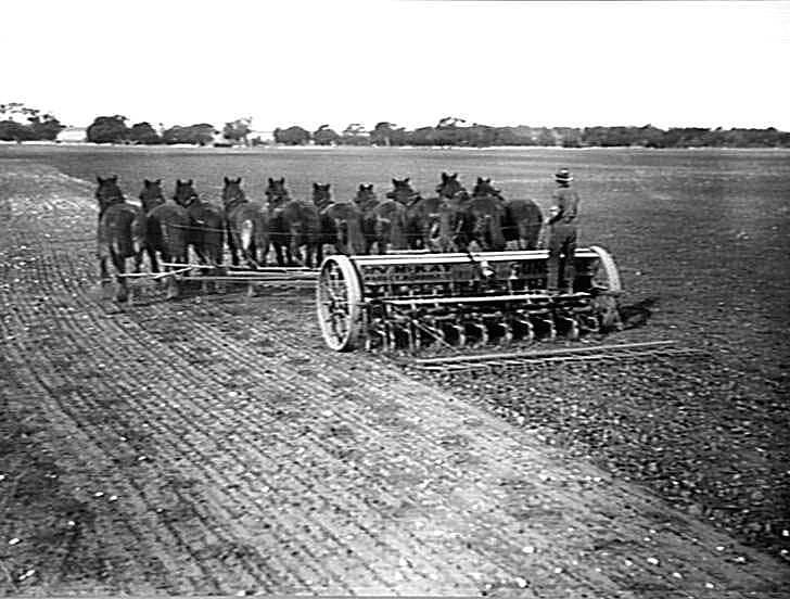 Photograph H.V. McKay Pty Ltd, Farm Equipment Manufacture & Field