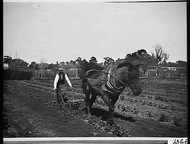 `SATELLITE' NO. 7 ON MR. A. J. NYMAN'S PROPERTY, CLAYTON: SEPT 1929