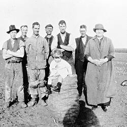 Negative - Group Pulling Potatoes, Ballan District, Victoria, circa 1925