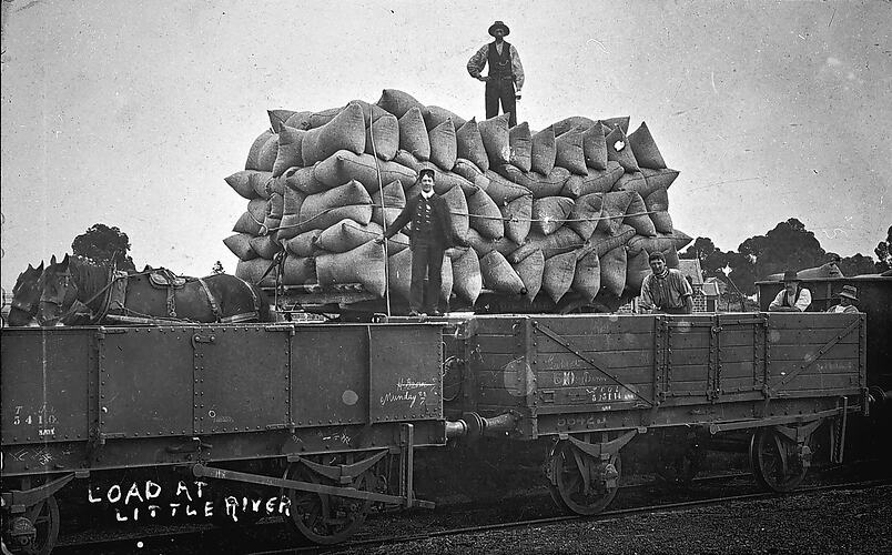 Loading chaff, Little River Station, circa 1915.
