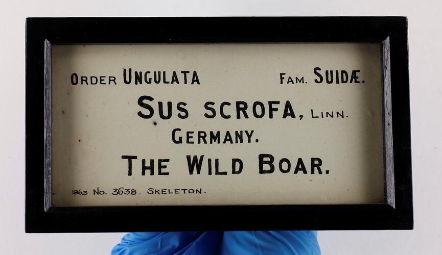 Black framed rectangular label with hand written black text.