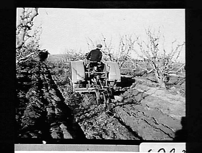 3-FUR M/B SUNHANDLIFT AT WORK ON MR. ZERBIC'S ORCHARD, DONCASTER. JUNE 1943