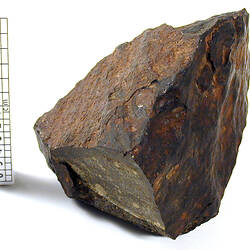 Meteorite specimen beside scale bar.