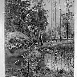 Photograph - 'River Reach, Above Warburton', by A.J. Campbell, Upper Yarra, Victoria, 1895-1896