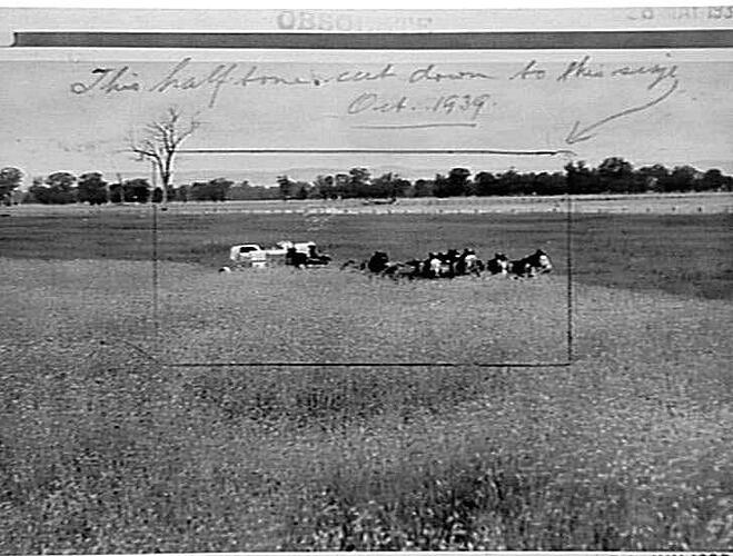 Photograph - H. V. McKay factory and/or equipment