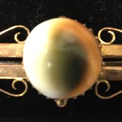 Brooch - H.A. Collins, Gold Double Bar & Operculum, Melbourne, Victoria, circa 1890