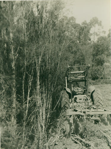 Photograph - Tractor pulling a disc cultivator