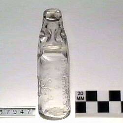 Bottle