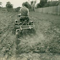 Photograph - Daniel Harvey Pty Ltd, Tractor Towing a Wheeled Stuble Mulcher, Victoria, circa 1920s-1940s