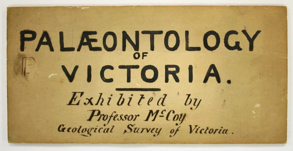 Exhibition Label - Palaeontology, 1862