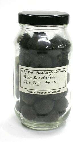Labelled jar of round dark coloured fruit sample.
