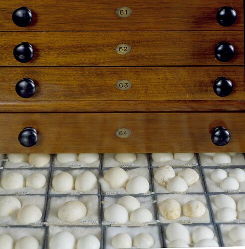 Close up of open drawer in wooden cabinet filled with eggs.