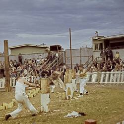Wood Chopping Competition, Royal Melbourne Show, Ascot Vale, 1956