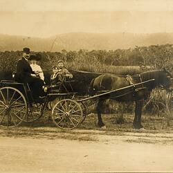 Man Driving Horse & Phaeton with Wife & Children, Ferntree Gully, circa 1910