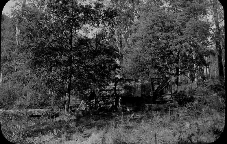 Lantern Slide - Bush Hut, Upper Yarra, Victoria, Date Unknown. [BA 1622]